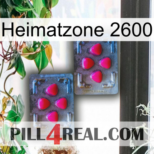Home Zone 2600 14.jpg